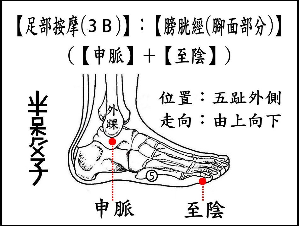 足部(3B)(腳面).jpg