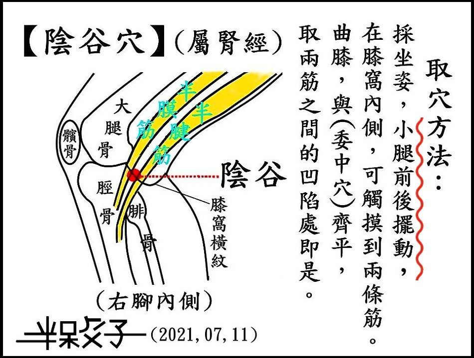 陰谷穴.jpg