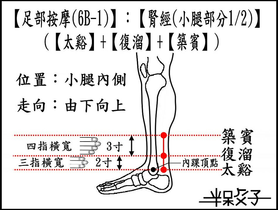 腎經(6B-1)(小腿-1).jpg