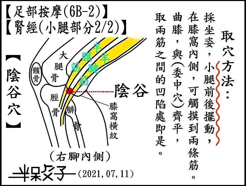 腎經(6B-2)(小腿-2).jpg