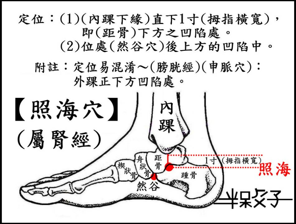 照海穴-2.jpg