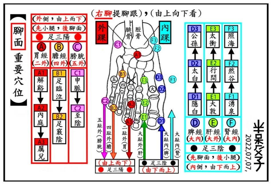 ●●●橫-右腳腳面(950X645)●●●-2.jpg