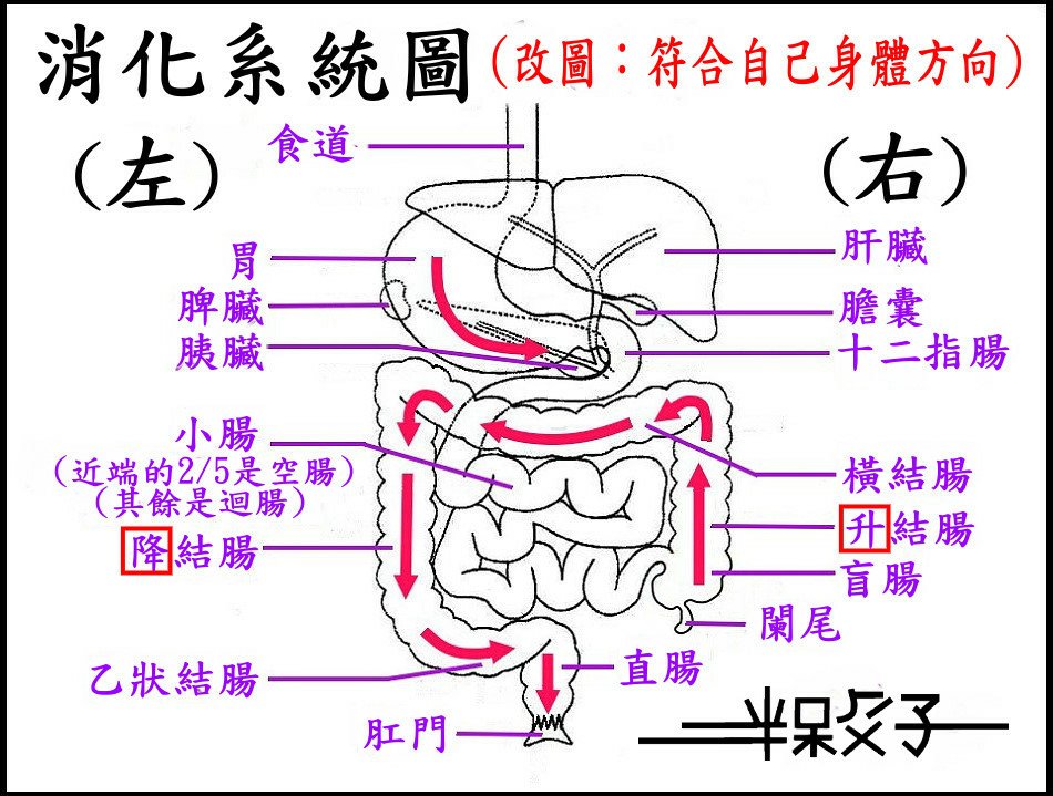 ●A1-1(改圖).jpg