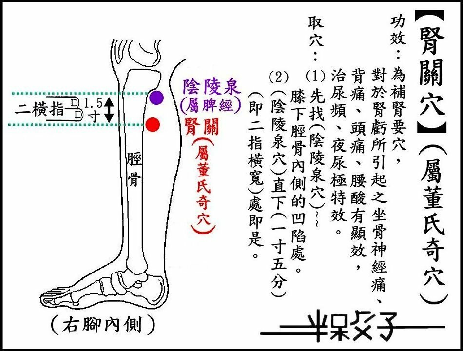 腎關穴.jpg