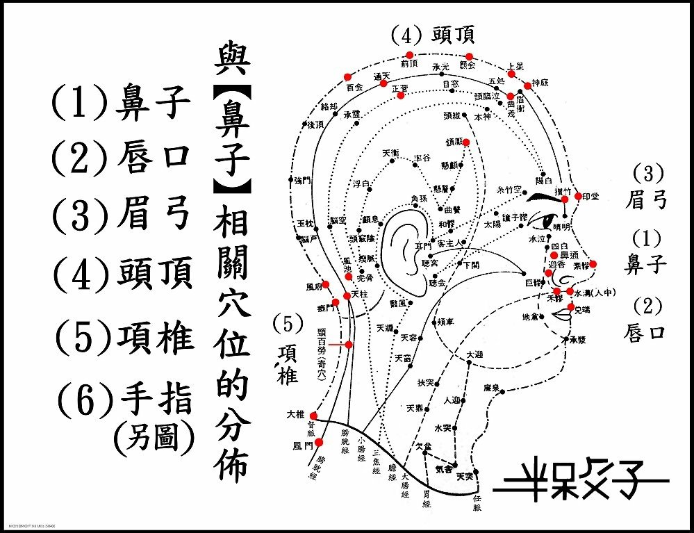 ●●(4)鼻子相關總圖.jpg