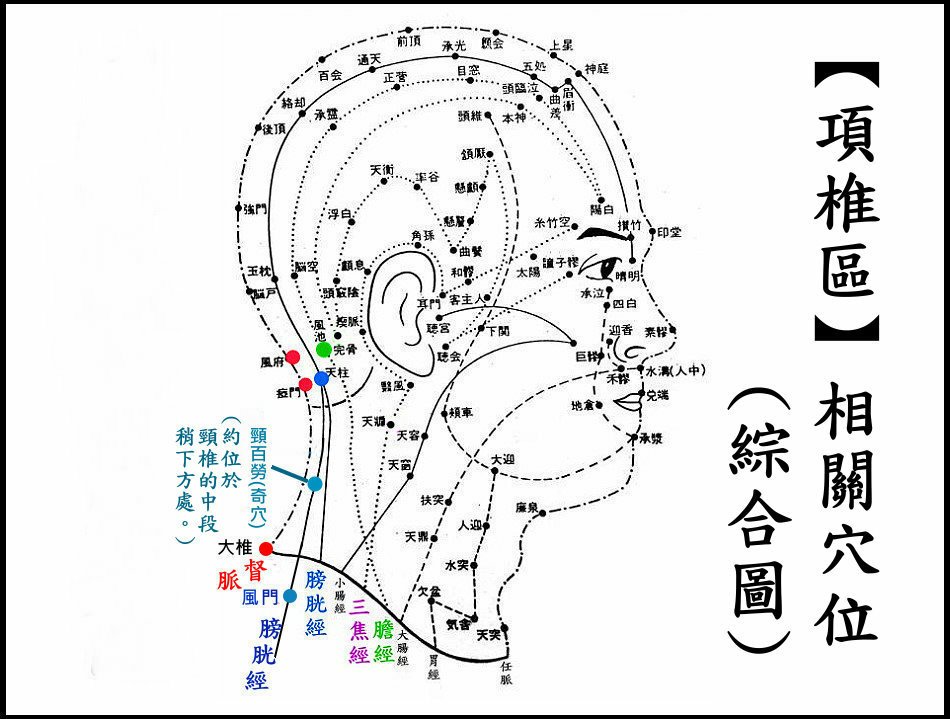 ●●(9-1)項椎-1.jpg