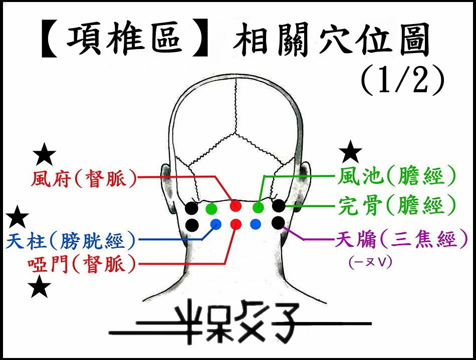 ●●(9-2)項椎-2.jpg