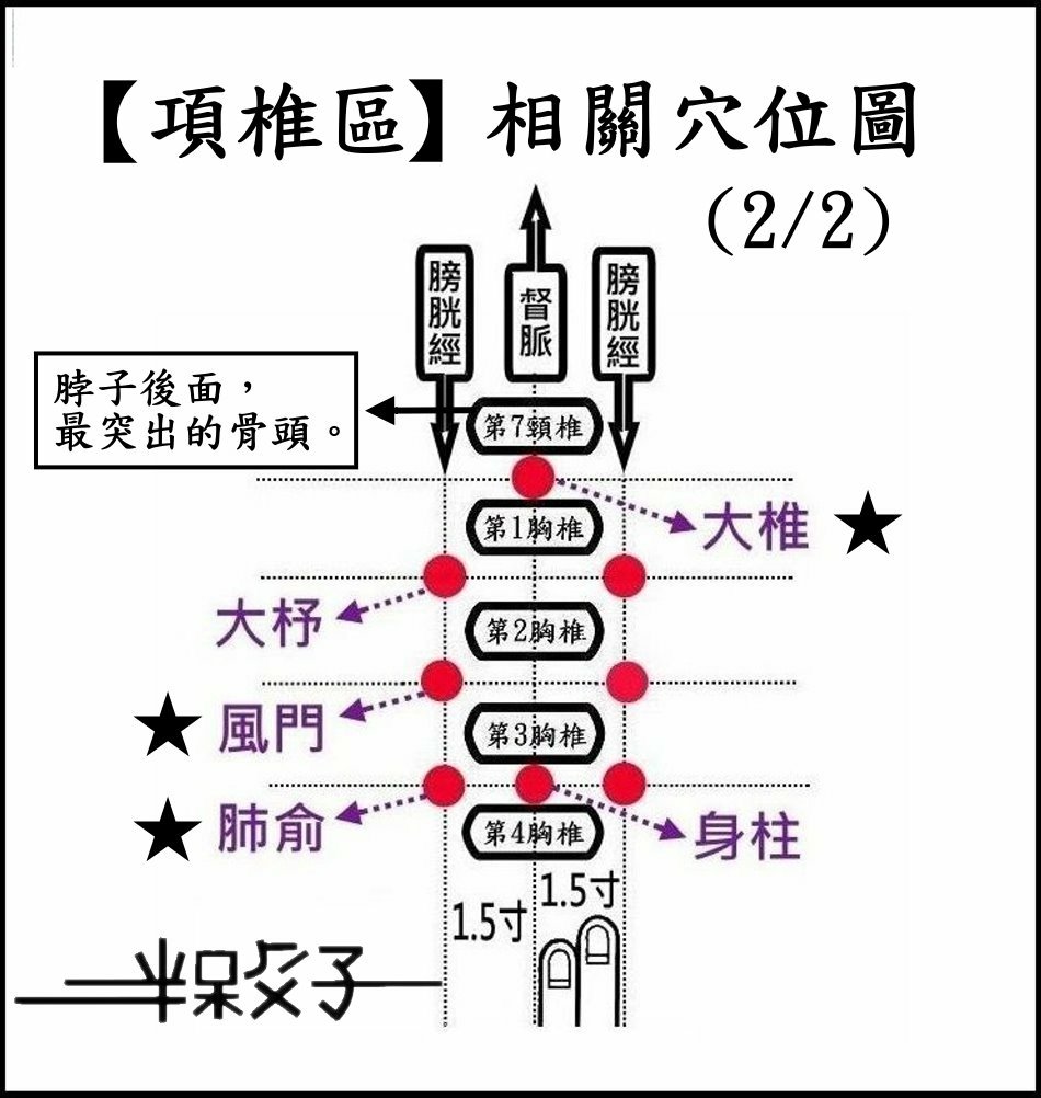 ●●(9-3)項椎-3.jpg