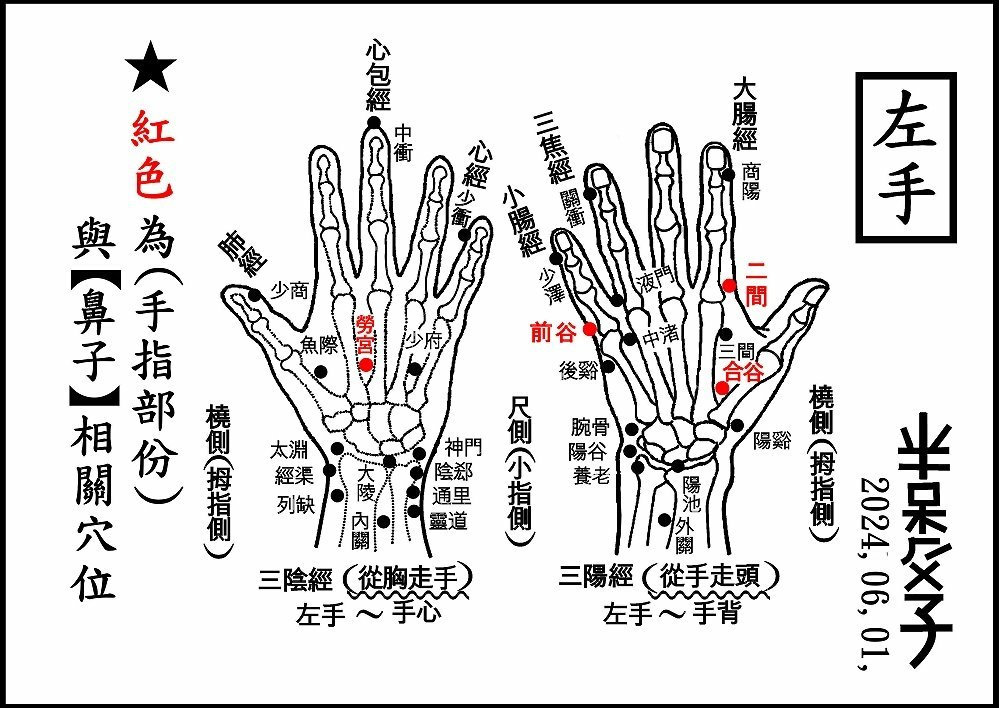 ●●(10-1)手部(左手).jpg