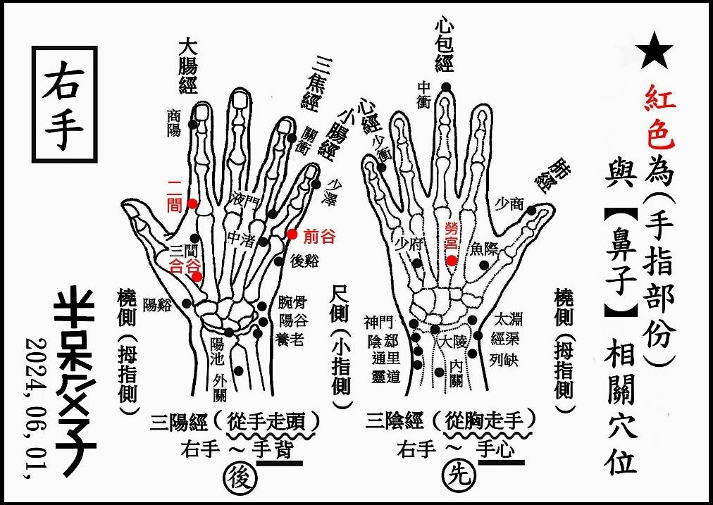 ●●(10-2)手部(右手).jpg