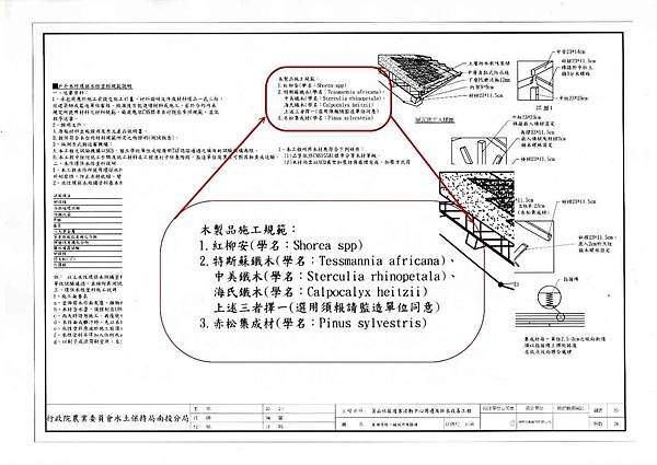 特斯蘇鐵木  中美鐵木  海氏鐵木1-03-2.jpg