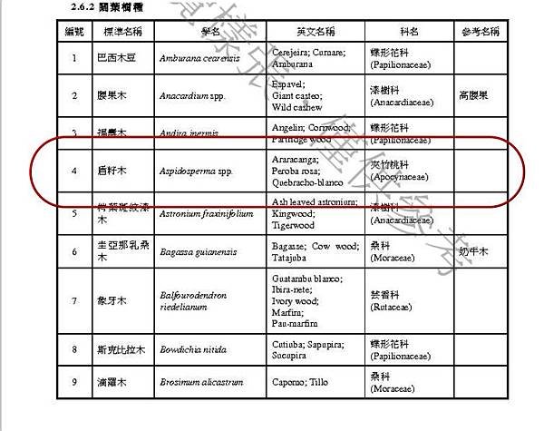 金盾鐵木(盾仔木)(夾竹桃科)Aspidosperma album.jpg