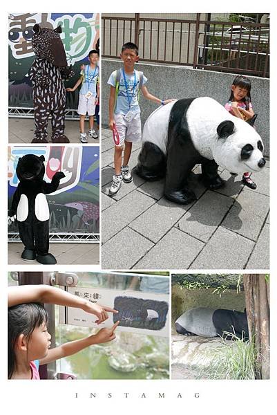 跟著《酷老師逛動物園》