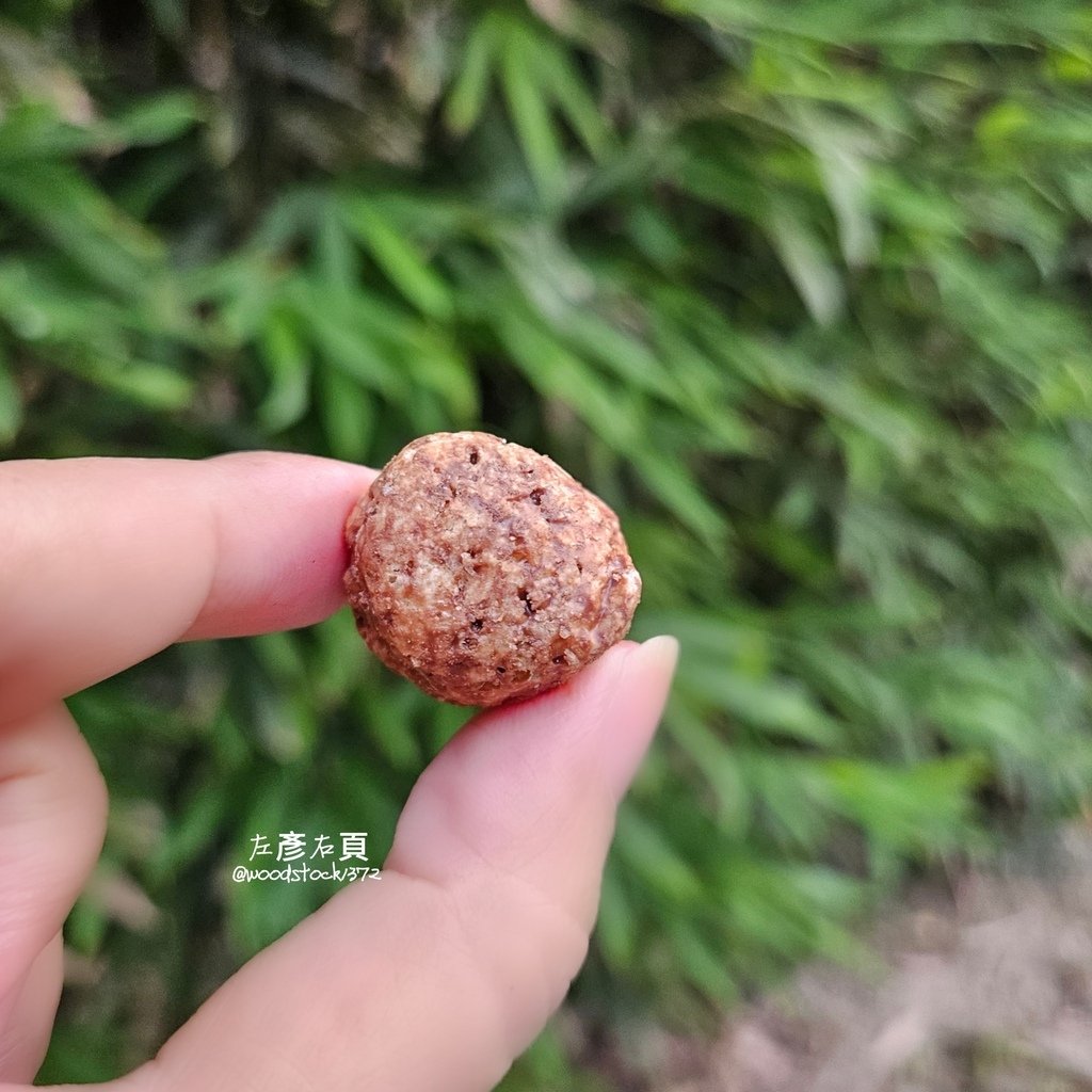 開箱大創史努比