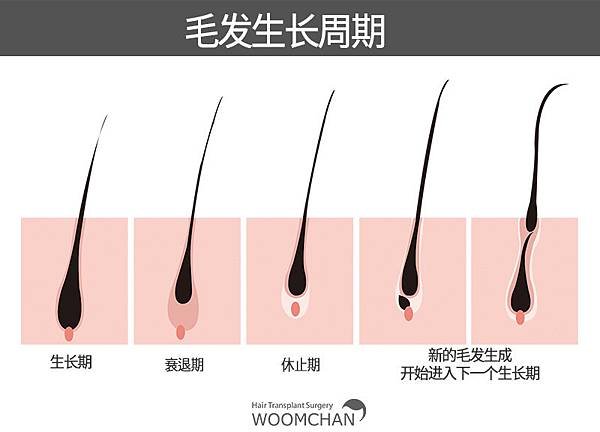 KakaoTalk_20181101_134950033.jpg