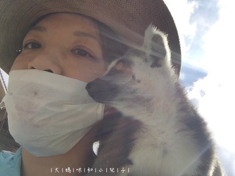 [帶小兒子去新竹] 六福莊住宿選房間餵狐猴好好玩