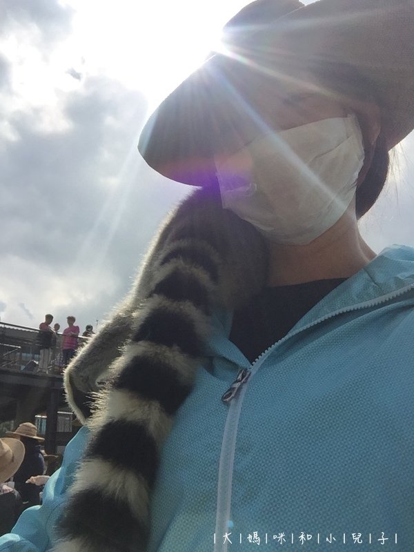 [帶小兒子去新竹] 六福莊住宿選房間餵狐猴好好玩