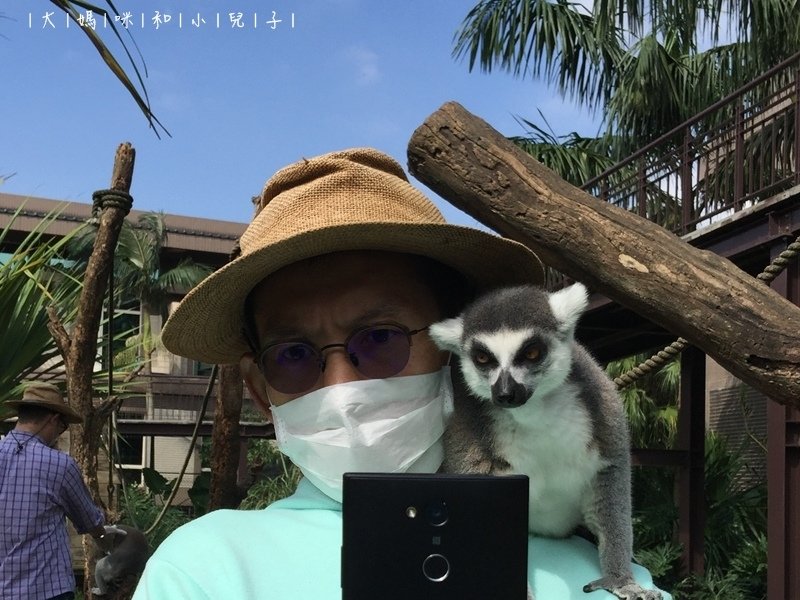 [帶小兒子去新竹] 六福莊住宿選房間餵狐猴好好玩