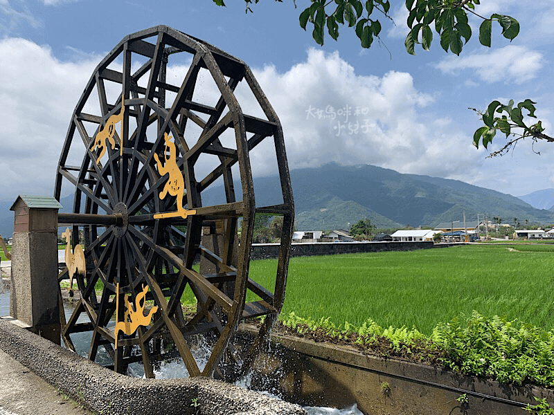 [帶小兒子騎台東] 激推池上環鄉自行車道金城武樹