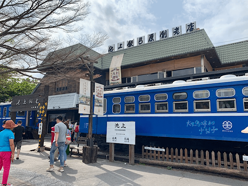 [帶小兒子騎台東] 激推池上環鄉自行車道金城武樹