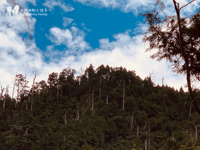 [帶小兒子去宜蘭] 太平山超優質鳩之澤煮蛋泡湯及太平山楓紅碰