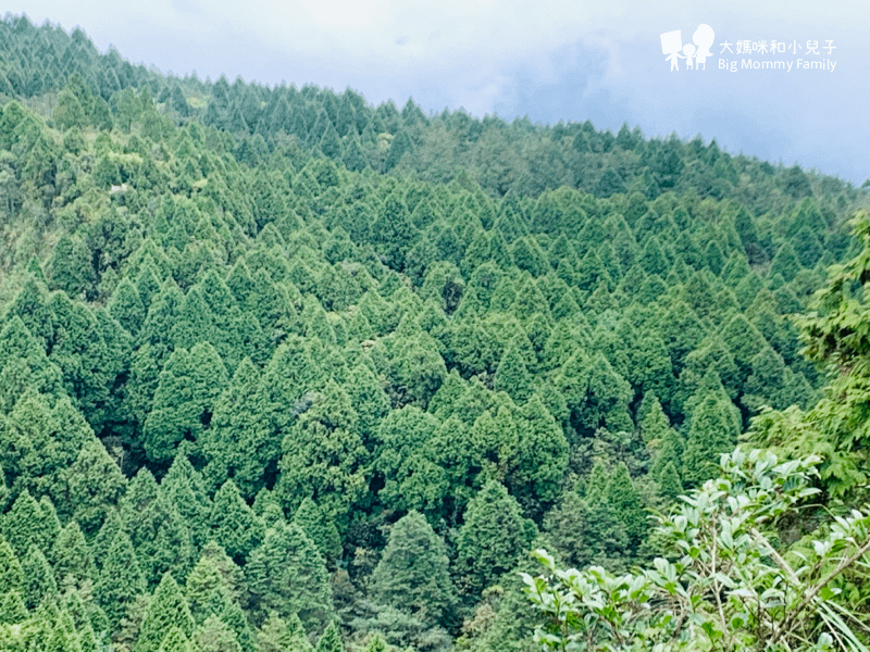 [帶小兒子去宜蘭] 太平山超優質鳩之澤煮蛋泡湯及太平山楓紅碰