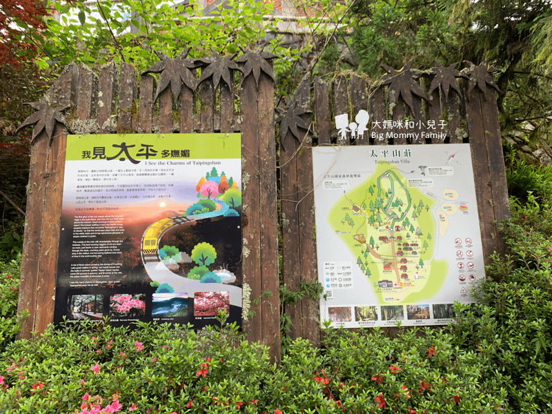 [帶小兒子去宜蘭] 太平山超優質鳩之澤煮蛋泡湯及太平山楓紅碰