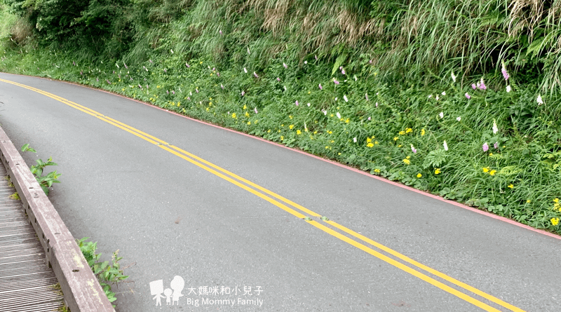 [帶小兒子去宜蘭] 太平山超優質鳩之澤煮蛋泡湯及太平山楓紅碰