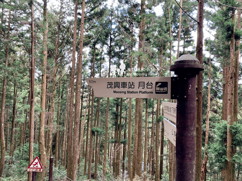 [帶小兒子去宜蘭] 太平山超優質鳩之澤煮蛋泡湯及太平山楓紅碰