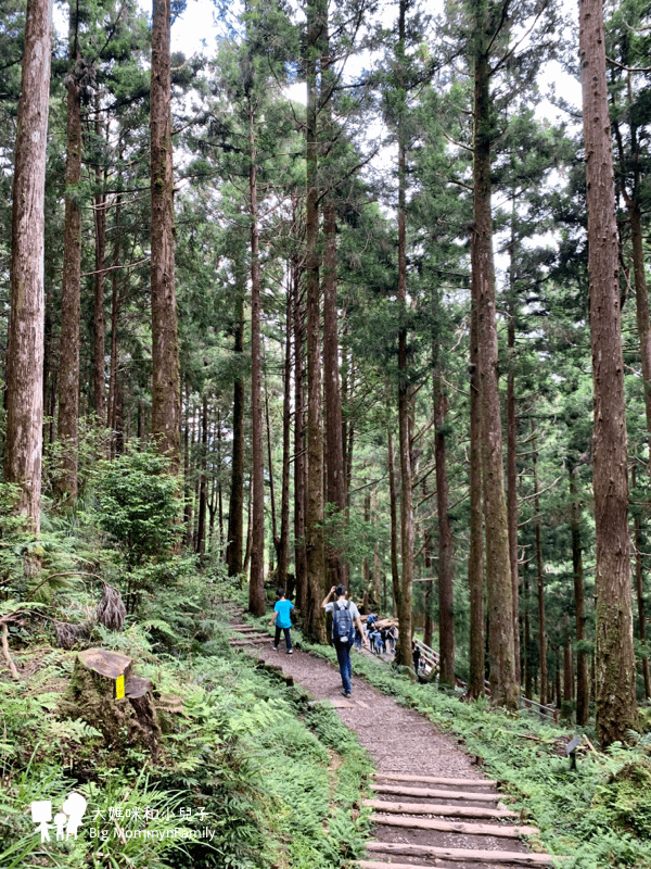 [帶小兒子去宜蘭] 太平山超優質鳩之澤煮蛋泡湯及太平山楓紅碰