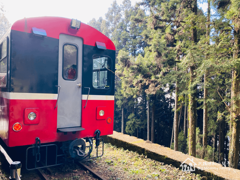 [帶小兒子去雲嘉] 原來阿里山日出是在天亮看並要注意高山症