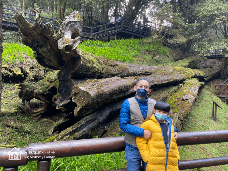 [帶小兒子去雲嘉] 原來阿里山日出是在天亮看並要注意高山症