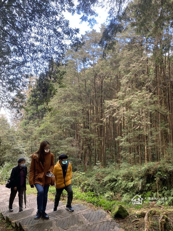 [帶小兒子去雲嘉] 原來阿里山日出是在天亮看並要注意高山症