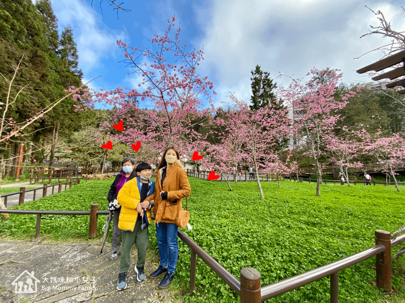 [帶小兒子去雲嘉] 原來阿里山日出是在天亮看並要注意高山症