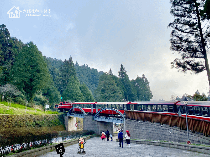 [帶小兒子去雲嘉] 原來阿里山日出是在天亮看並要注意高山症