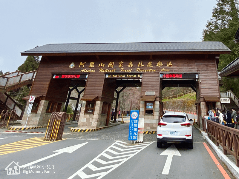 [帶小兒子去雲嘉] 原來阿里山日出是在天亮看並要注意高山症