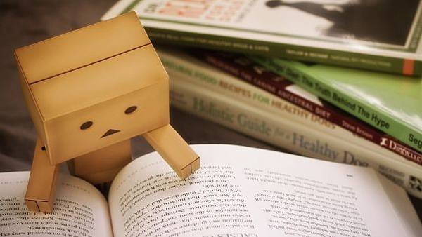 danbo_cardboard_robot_book_reading_96984_602x339