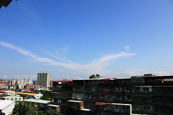 IMG_1785.JPG