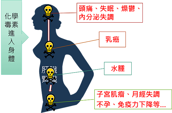 圖片4