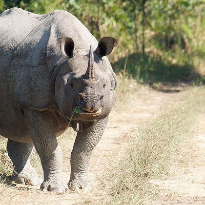 Manas Wildlife Sanctuary_India_02.jpg