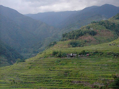 Rice Terraces of the Philippine Cordilleras 1201