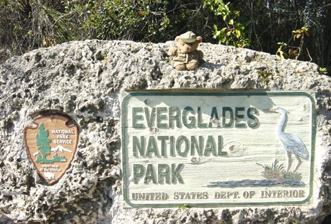 EvergladesNationalPark_US_1001.jpg