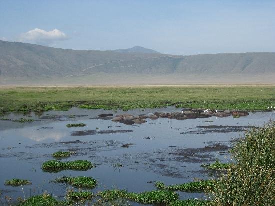 Ngorongoro_Tanzania_01.jpg