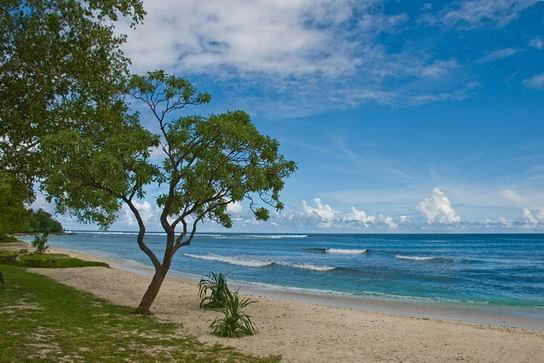 ChiefRoiMatasDomain_Vanuatu_09.jpg