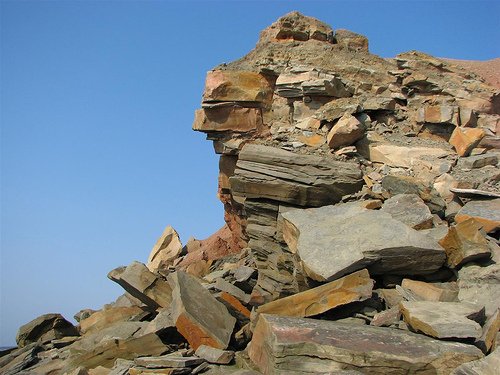 Joggins_Fossil_Cliffs_Canada_01.jpg