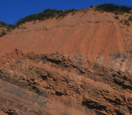 Joggins_Fossil_Cliffs_Canada_04.jpg