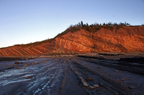 Joggins_Fossil_Cliffs_Canada_06.jpg