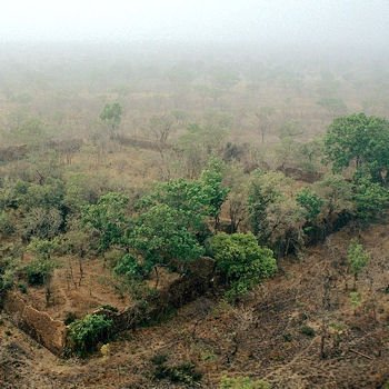 Ruins of Loropeni_BurkinaFas0_02.jpg