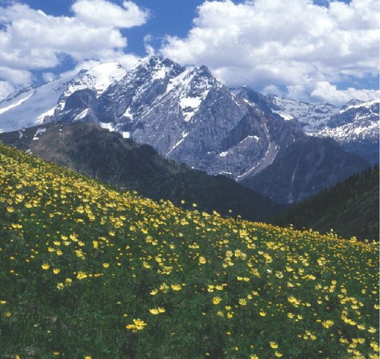 Dolomits_Italy_09.jpg