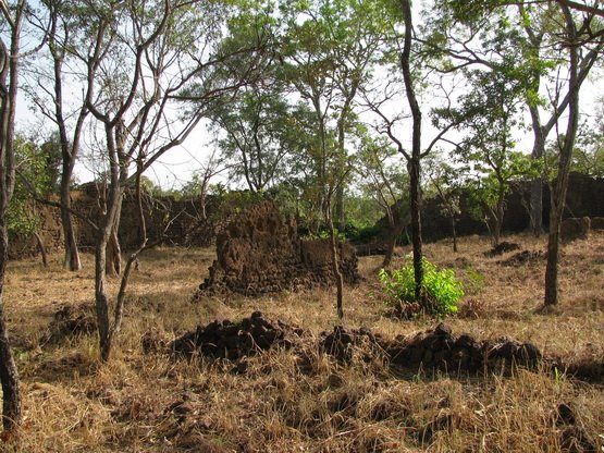 Ruins of Loropeni_BurkinaFas0_06.jpg